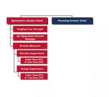 Organizing the Operations Section