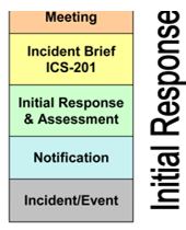 Stem of the Planning P initial response
