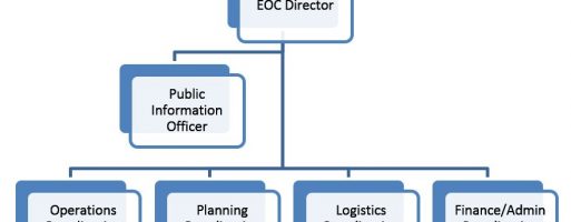 ICS-like EOC Structures