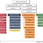 organizational chart